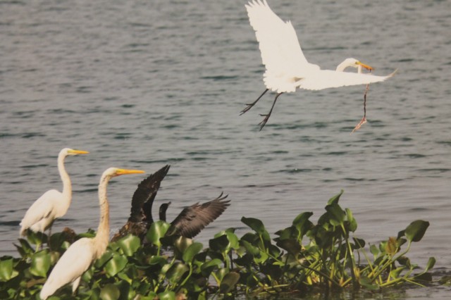 Confira aqui as imagens da exposição fotográfica "Cidade das Águas"