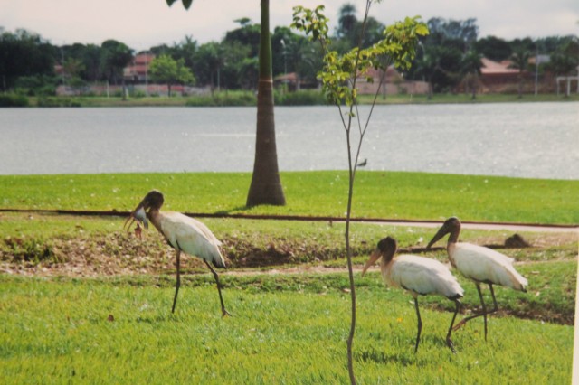 Confira aqui as imagens da exposição fotográfica "Cidade das Águas"