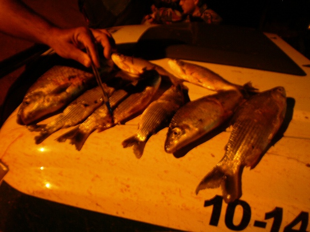 PMA autua nove pescadores e aplica multas de R$ 11 mil