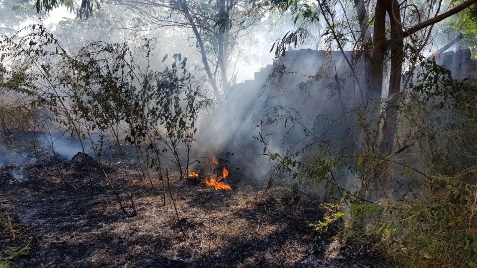 Incêndio destrói vegetação do entorno da Segunda Lagoa
