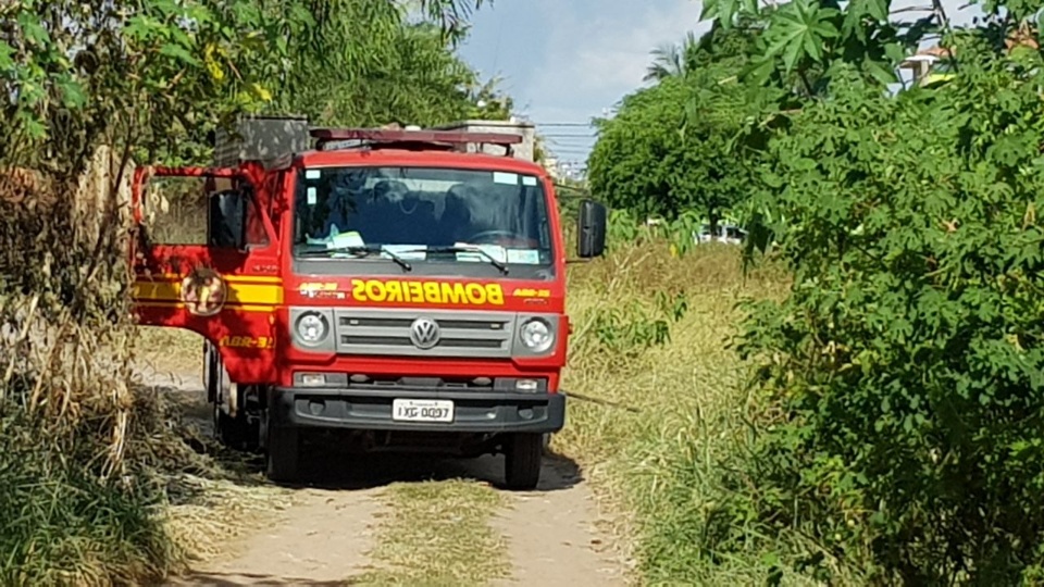 Incêndio destrói vegetação do entorno da Segunda Lagoa