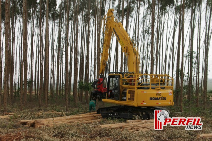 Eldorado Brasil abre as portas para a imprensa