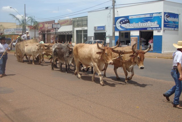 10ª edição da Cavalgada Sul-mato-grossense