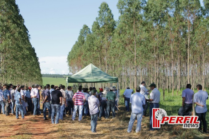 Fazenda São Matheus é a vitrine do Agro-negócio da Costa Leste, diz Embrapa