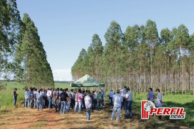 Fazenda São Matheus é a vitrine do Agro-negócio da Costa Leste, diz Embrapa