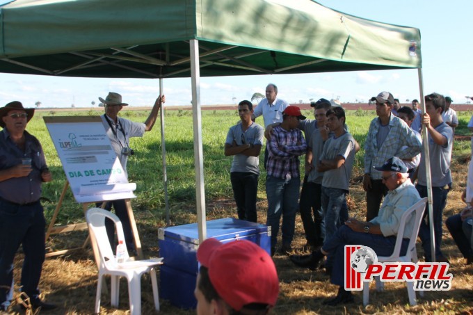 Fazenda São Matheus é a vitrine do Agro-negócio da Costa Leste, diz Embrapa