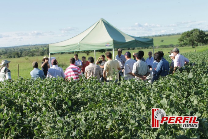 Fazenda São Matheus é a vitrine do Agro-negócio da Costa Leste, diz Embrapa