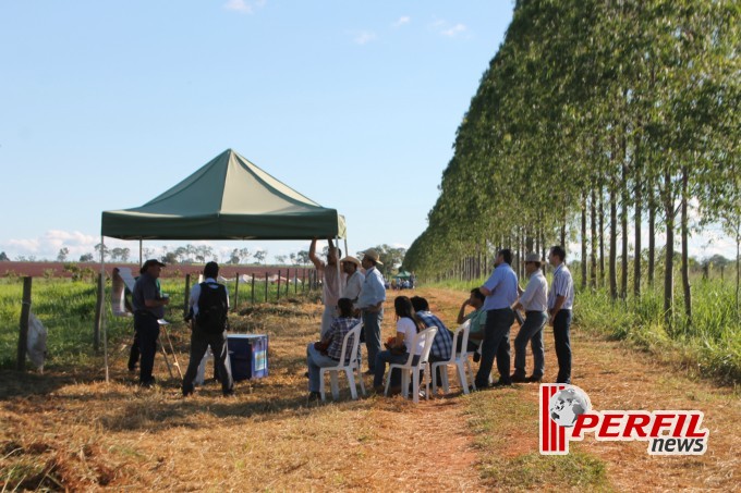 Fazenda São Matheus é a vitrine do Agro-negócio da Costa Leste, diz Embrapa