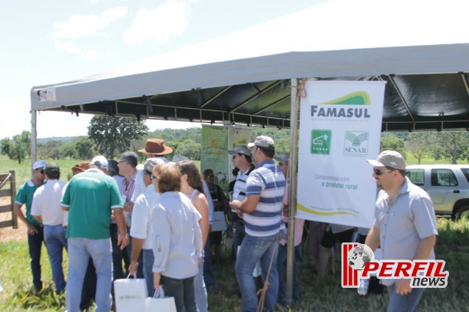 Dia de Campo em Inocência atrai mais de 150 produtores rurais