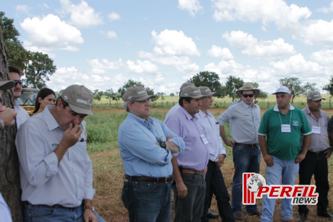 Dia de Campo em Inocência atrai mais de 150 produtores rurais