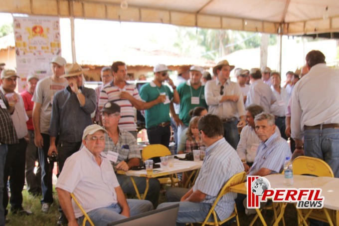 Dia de Campo em Inocência atrai mais de 150 produtores rurais