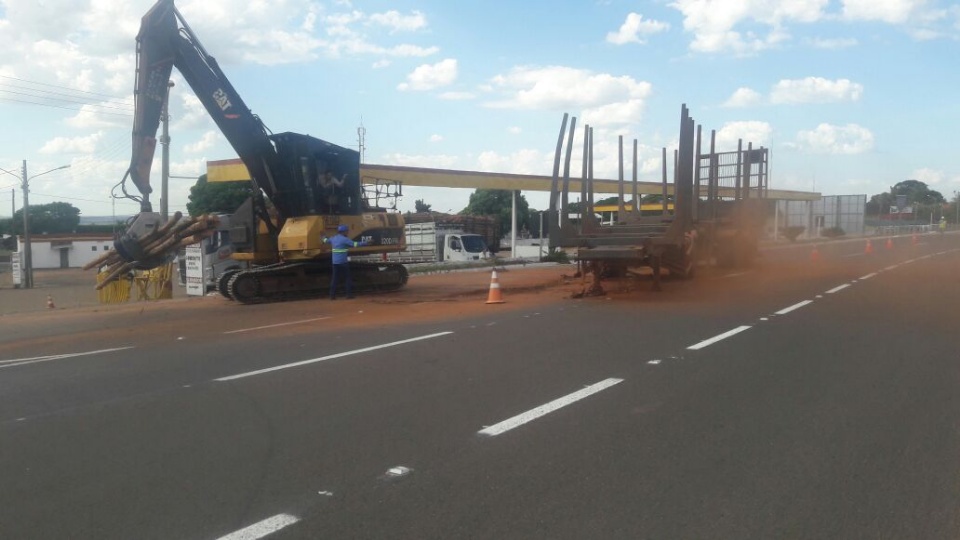 Carreta com eucalipto tomba na BR-267, em Bataguassu