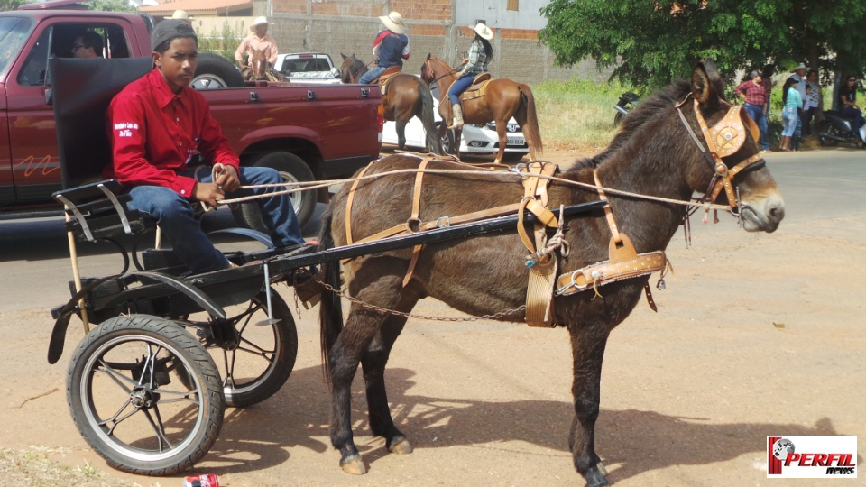 Cavalgada da Associação Cultural Sertaneja atrai 22 comitivas para Três Lagoas