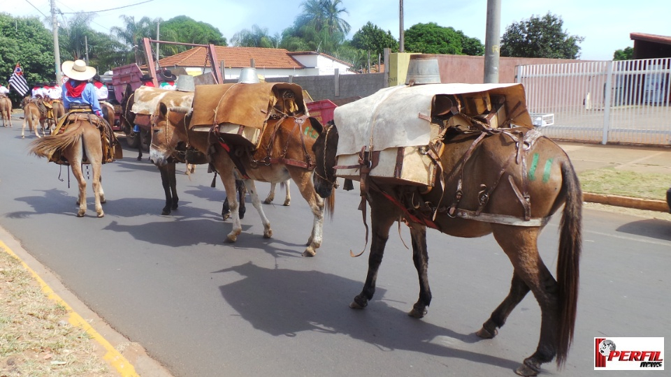 Cavalgada da Associação Cultural Sertaneja atrai 22 comitivas para Três Lagoas