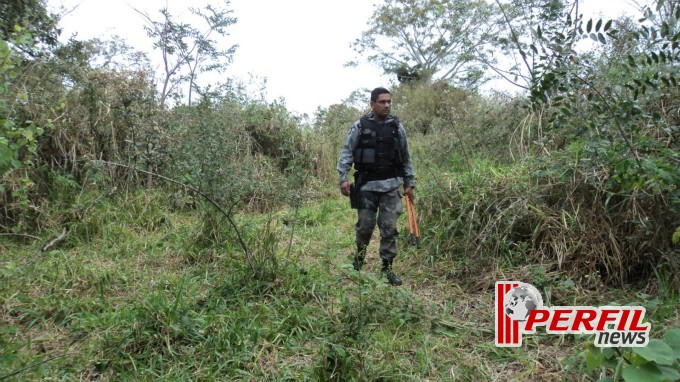 Grande parte da maconha foi encontrada na cozinha do rancho da vereadora Grande parte da maconha foi encontrada na cozinha do rancho da vereadora