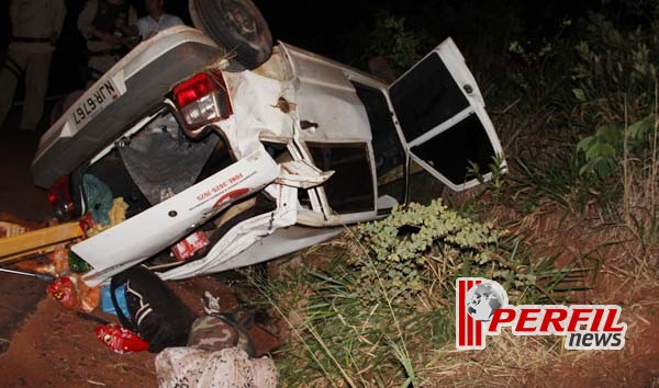 Veículo capota após atropelar capivara em rodovia de Três Lagoas