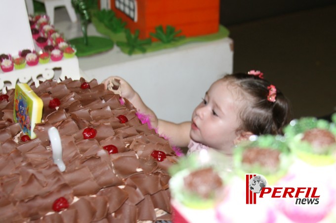 Festa de dois aninhos da Emily Festa de dois aninhos da Emily