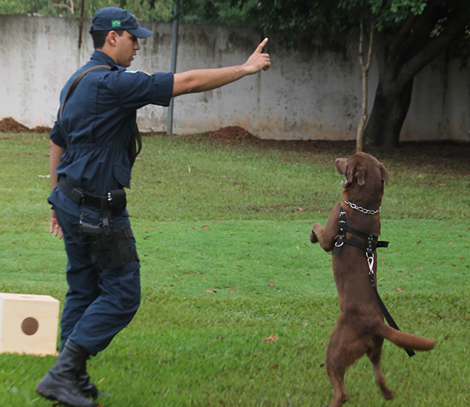 Polícia Militar de Três Lagoas está preparada para combater o crime, diz Monari