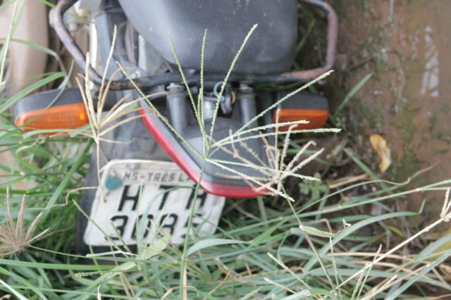 Motociclista atropela garota que tentava atravessar avenida em Três Lagoas