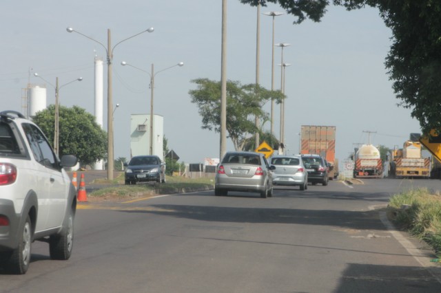 Animais na pista prejudicam trânsito em rodovia e preocupa PRF