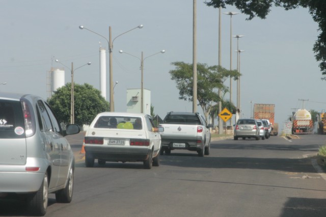 Animais na pista prejudicam trânsito em rodovia e preocupa PRF