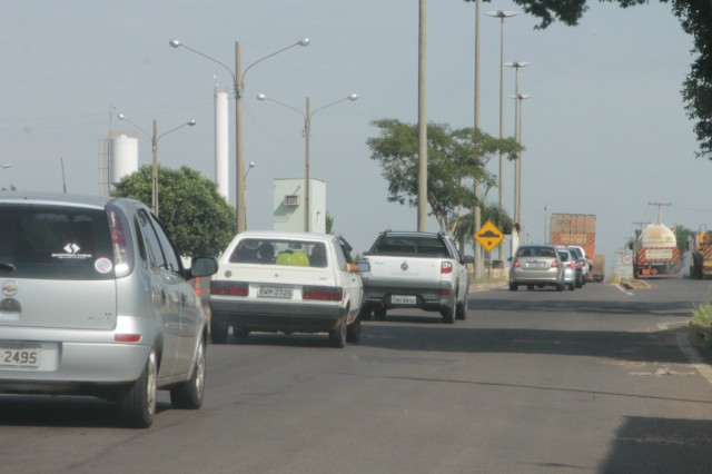 Animais na pista prejudicam trânsito em rodovia e preocupa PRF