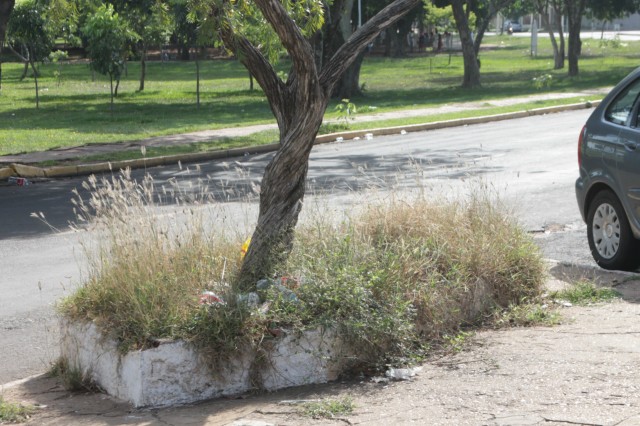 Lagoa Maior sofre agressão de usuários inconsequentes nos finais de semana