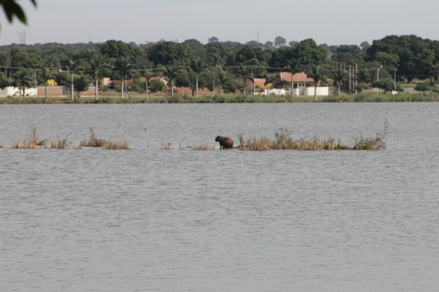 Lagoa Maior sofre agressão de usuários inconsequentes nos finais de semana