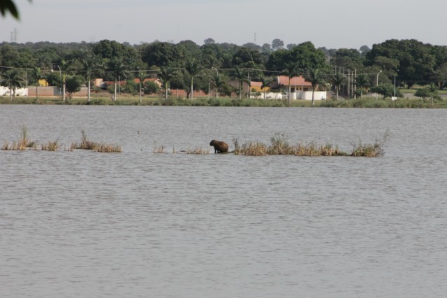 Lagoa Maior sofre agressão de usuários inconsequentes nos finais de semana