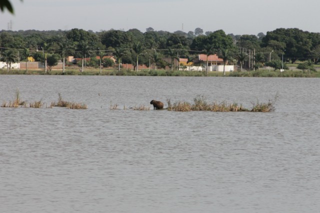 Lagoa Maior sofre agressão de usuários inconsequentes nos finais de semana