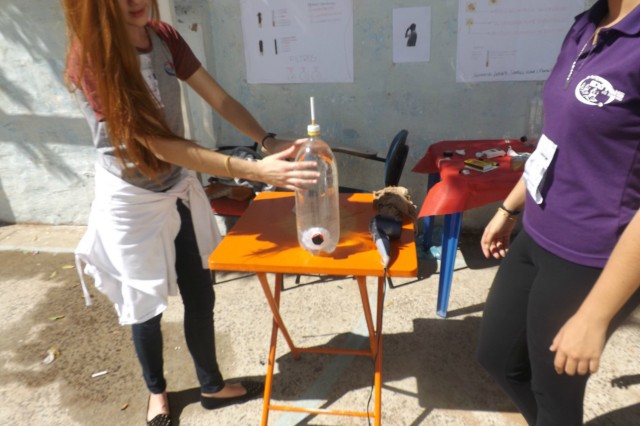 Mostra Cultural da Escola Sistema Exitus fortalece a criatividade dos alunos Mostra Cultural da Escola Sistema Exitus fortalece a criatividade dos alunos