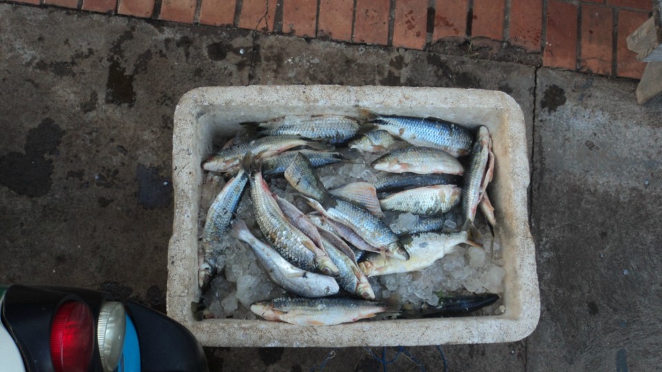 PMA desmonta acampamento e apreende 110 Kg de peixes e 200 metros de pesca