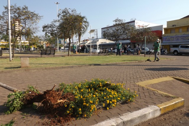 Meio Ambiente manda trocar árvores da praça Ramez Tebet, no centro de Três Lagoas
