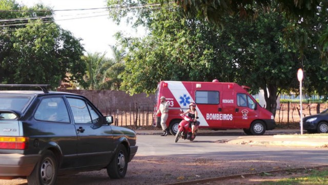 Enxame aterroriza comunidade do entorno do cemitério municipal