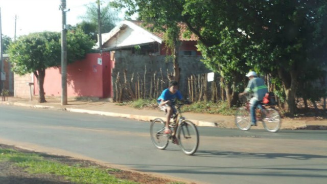 Enxame aterroriza comunidade do entorno do cemitério municipal