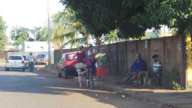 Enxame aterroriza comunidade do entorno do cemitério municipal