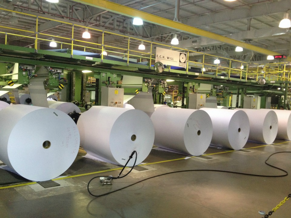 IP estuda a possibilidade de instalação de segunda máquina de papel em TL