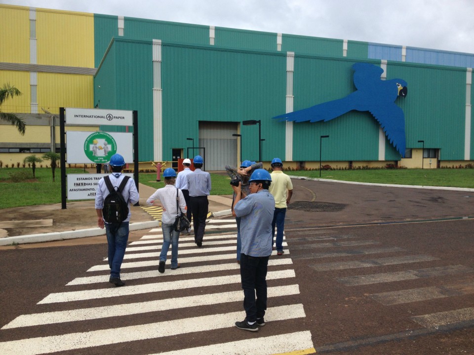 IP estuda a possibilidade de instalação de segunda máquina de papel em TL
