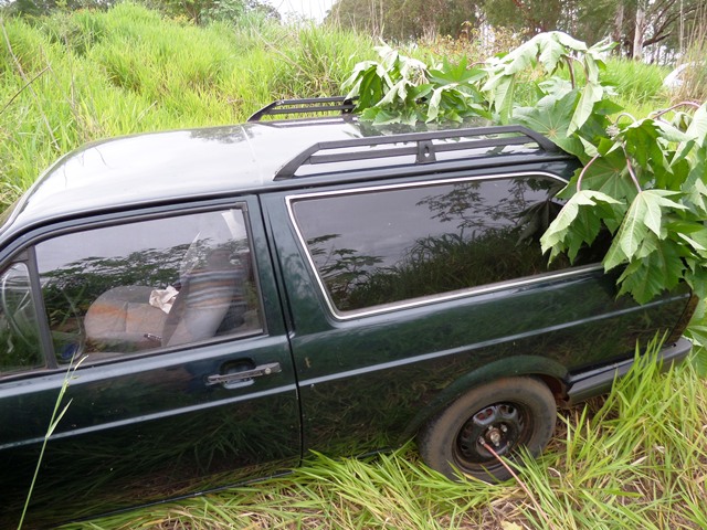 Carro é abandonado na região da “Lagoinha”, parcialmente camuflado