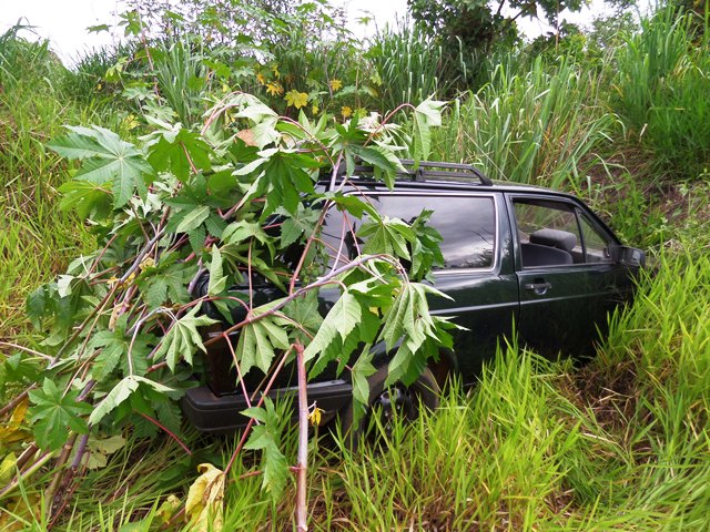 Carro é abandonado na região da “Lagoinha”, parcialmente camuflado
