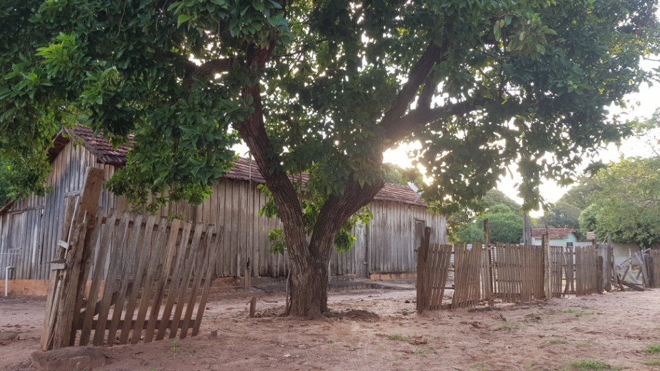 Mesmo com a modernidade, Três Lagoas rural ``sobrevive`` e preserva história