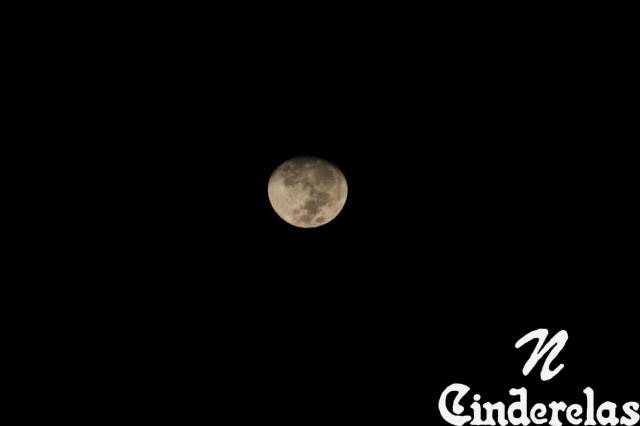 Bohemius 3° Edição