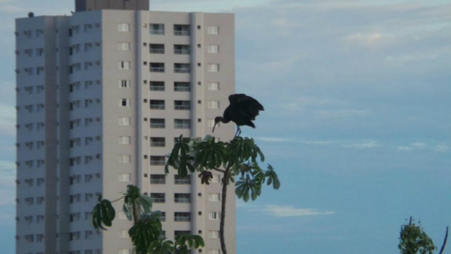 Pequena possibilidade de chuva para a terça-feira em Três Lagoas