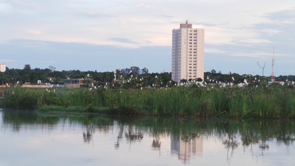 Lagoa Maior, beleza natural de uma paisagem que se renova todos os dias, em Três Lagoas