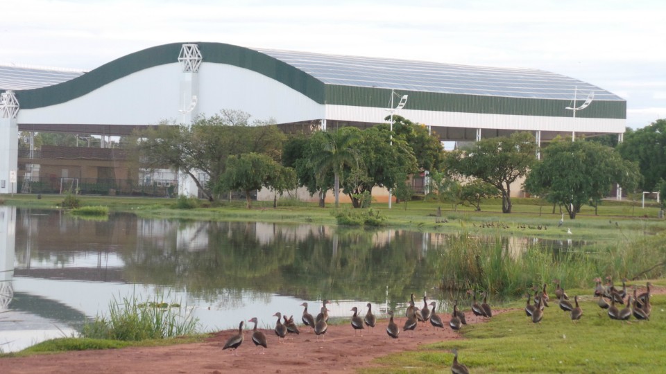 Lagoa Maior, beleza natural de uma paisagem que se renova todos os dias, em Três Lagoas