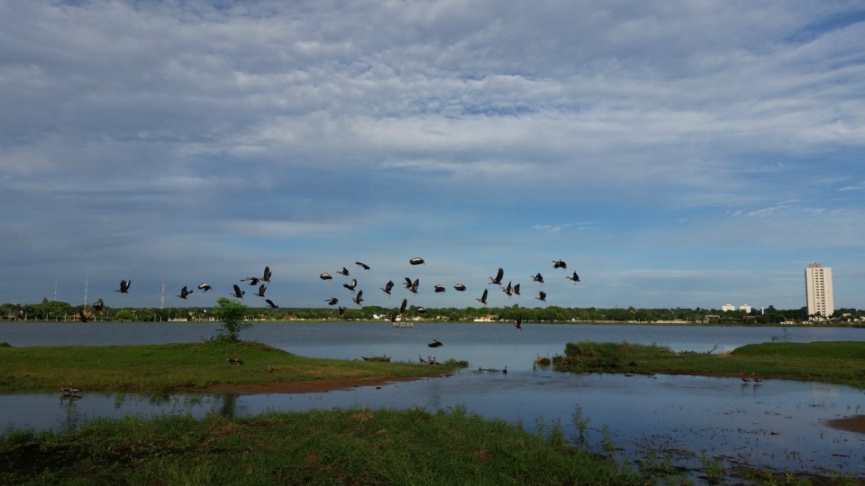 Lagoa Maior, beleza natural de uma paisagem que se renova todos os dias, em Três Lagoas