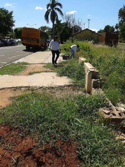 Saúde continua trabalho para diminuir casos de dengue