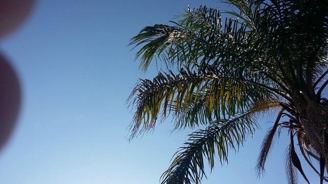 Final de semana com pouca previsão de chuva e o sol predomina em Três Lagoas