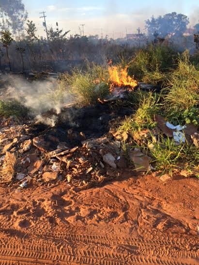 Fogo em lixo provoca incêndio em mata próximo a residencial no JK