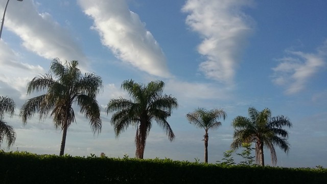 Mesmo com o calor, há previsão de chuva para hoje em Três Lagoas